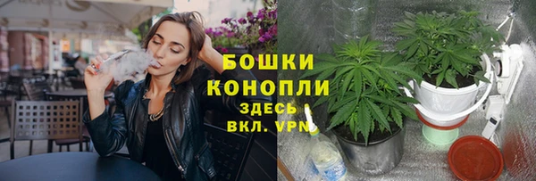 дурь Михайловка
