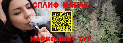 гашик Донской