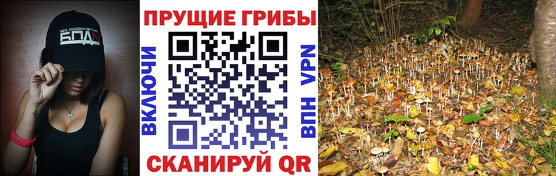 Псилоцибиновые грибы ЛСД  Тула 