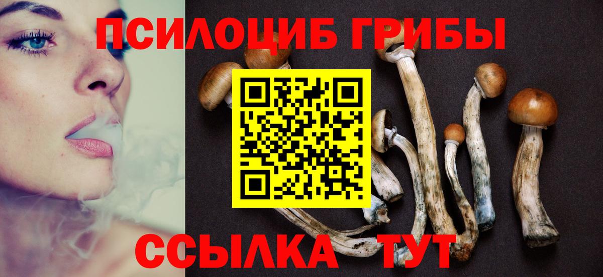 Галлюциногенные грибы GOLDEN TEACHER  Вход с VPN  Тула 